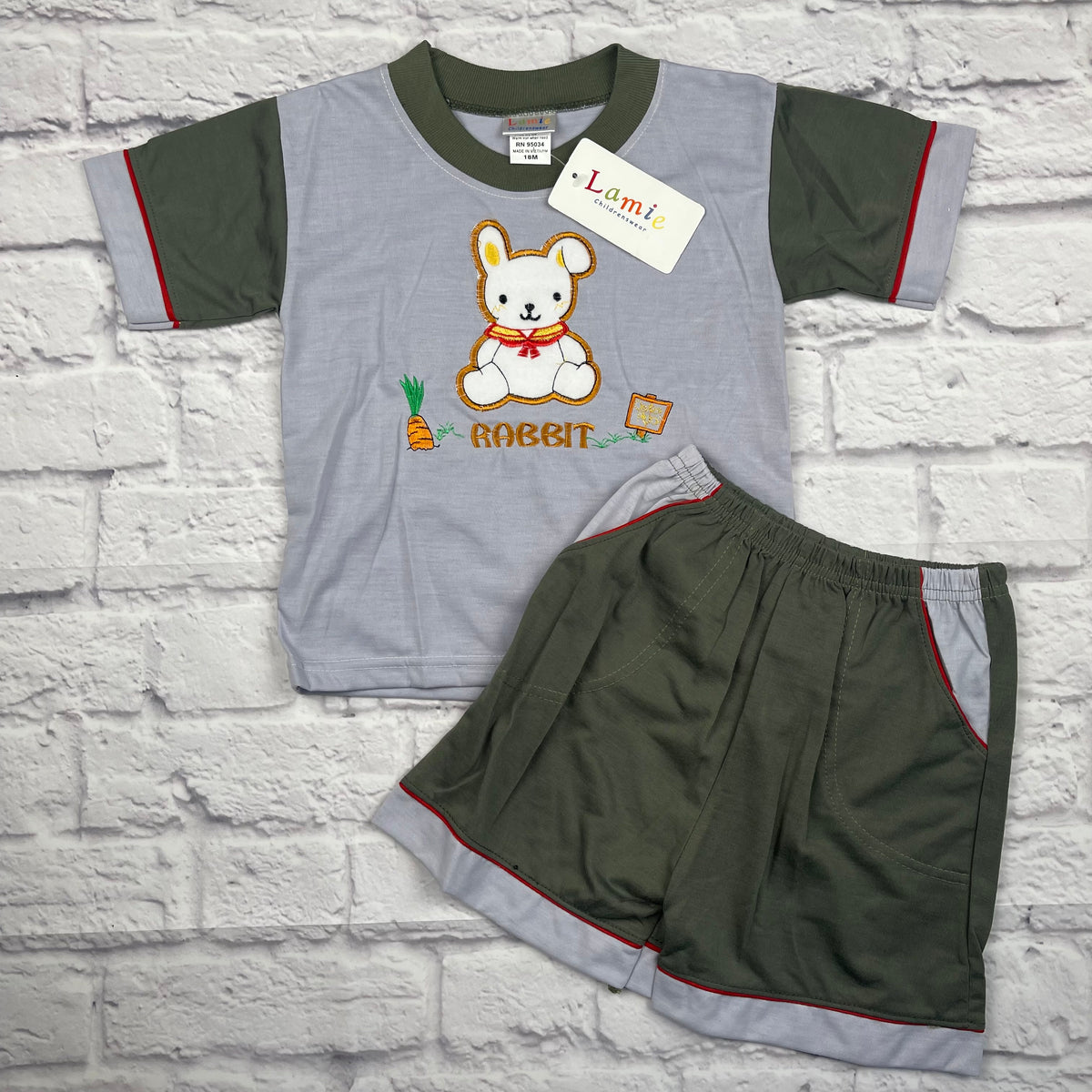 Tee and Shorts NWT 2pc set size 18mo